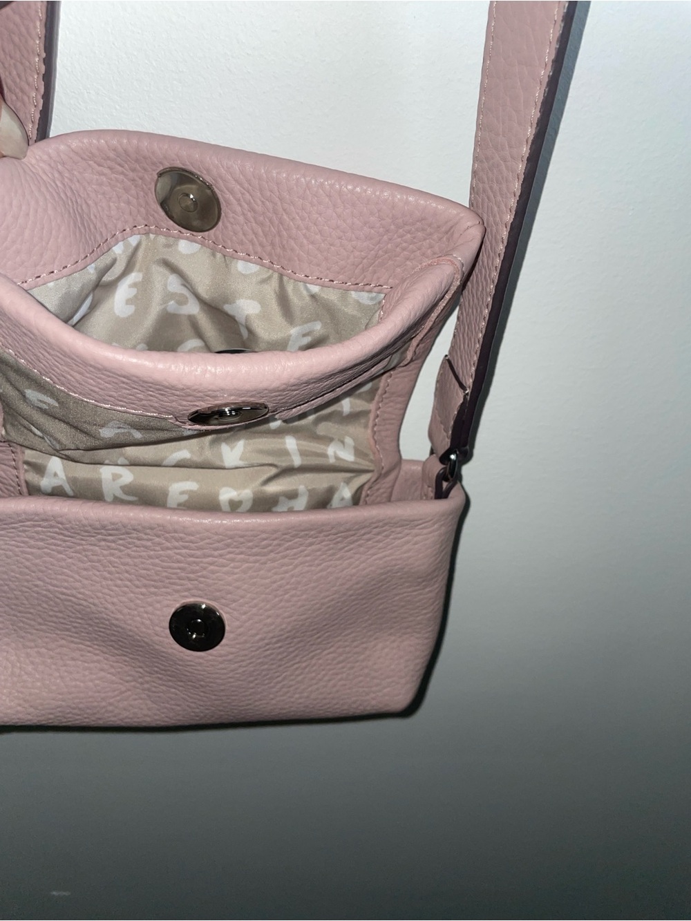 Aimee Kestenberg Pink Mini Pebbled Leather Crossbody - Picture 2 of 13